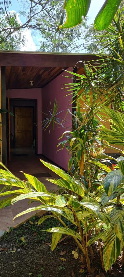 Ciudad Perdida Ecolodge Cahuita Buitenkant foto