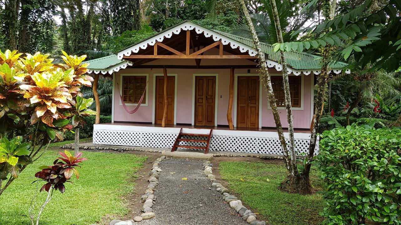 Ciudad Perdida Ecolodge Cahuita Buitenkant foto