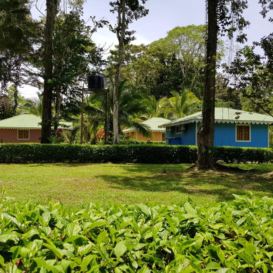Ciudad Perdida Ecolodge Cahuita Buitenkant foto