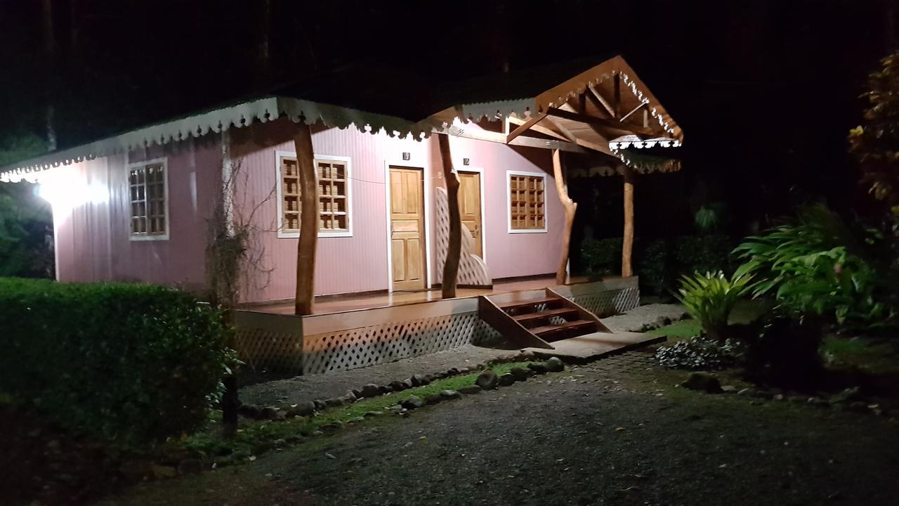 Ciudad Perdida Ecolodge Cahuita Buitenkant foto