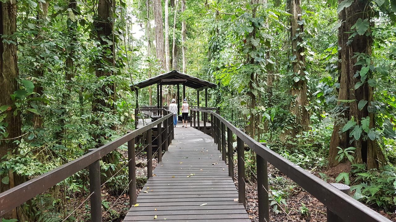 Ciudad Perdida Ecolodge Cahuita Buitenkant foto