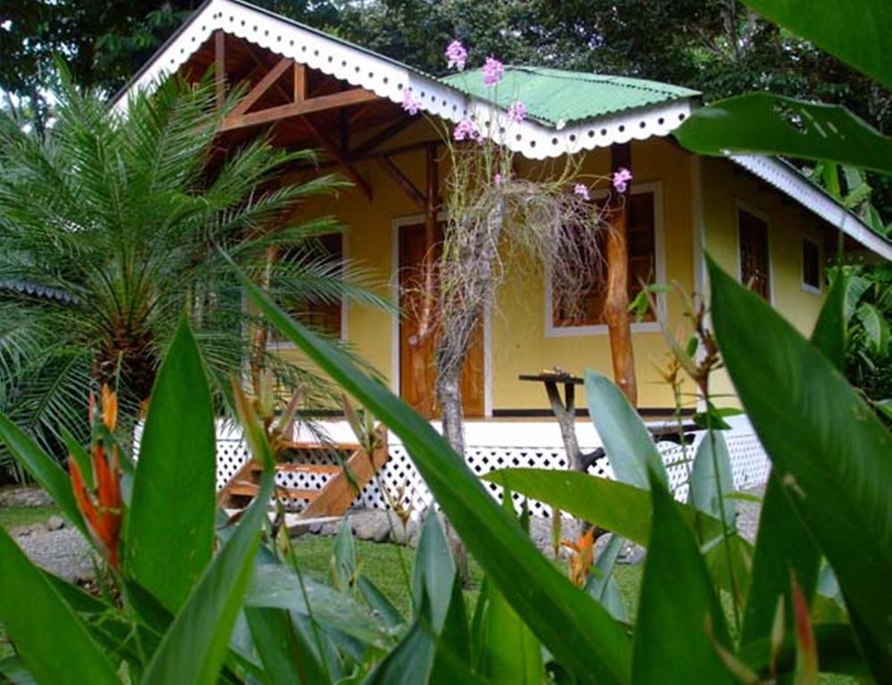 Ciudad Perdida Ecolodge Cahuita Buitenkant foto